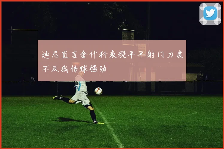 迪尼直言舍什科表现平平射门力度不及我传球强劲