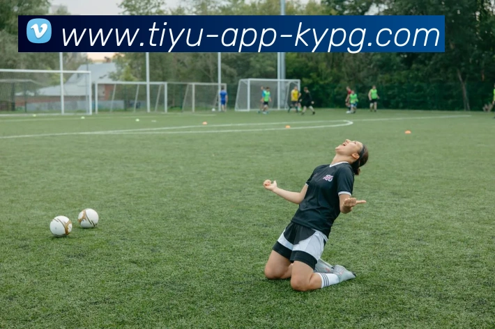 开元棋牌平台生态图