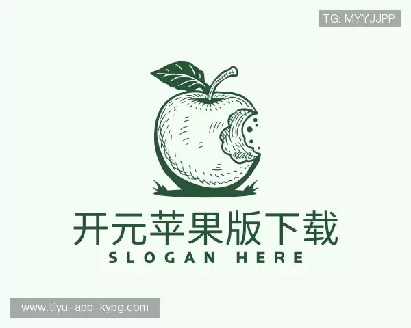 了解开元苹果版手机版